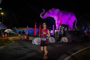 BIB: 
                            <button type="button" onclick="openModal(26552075)" class="btn btn-primary btn-sm float-right btn-popup" data-toggle="modal" data-target=".modal-high-quality">
                        <i class="fas fa-shopping-cart"></i> Add to Cart
                    </button>
                                            <button type="button" onclick="isThisMe(26552075, true)" class="btn btn-success btn-sm float-right btn-popup btn-isme hidden" data-toggle="tooltip" data-placement="bottom" title="นี่คือรูปของคุณใช่ไหม คลิกที่นี่เพื่อเอาเข้าอัลบั้ม">
                        <i class="fas fa-plus"></i> Add to album
                    </button>
                    <button type="button" onclick="isThisMe(26552075, false)" class="btn btn-warning btn-sm float-right btn-popup btn-isnotme hidden">
                        <i class="fas fa-ban"></i> Remove from album
                    </button>